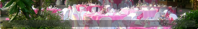 agentii full service 1