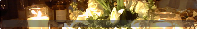 agentii full service 2