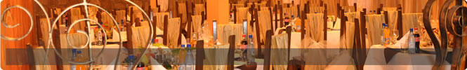 agentii full service 3