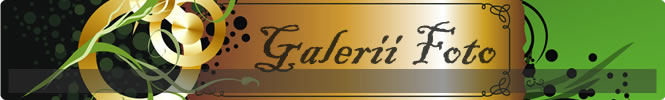 galerii foto 1