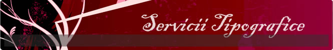 servicii tipografice 3