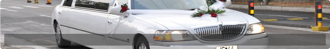 transport special nunta 1