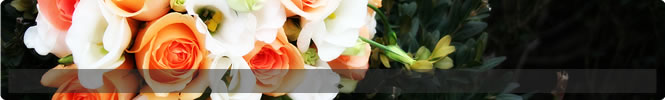 ghid nunta bewed 18