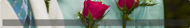 ghid nunta bewed 4