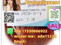 119276-01-6      Protonitazene (hydrochloride)