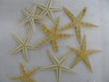 Accesorii decoratiuni marine