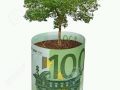 Asistenta financiara pentru toti: +33755496794