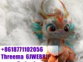BMK Powder 5449-12-7 +8618771102056