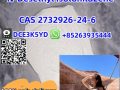 CAS 2732926-24-6  N-ethyl-2-[5-nitro-2-  Fast delivery