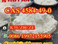 CAS 4584-49-0 2-Chloro-1-(dimethylamino)propane Hydrochloride powder supplier