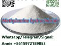 CAS 593-51-1 Methylamine hydrochloride LT-S9151 good price with high qualtiy