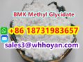 CAS 80532-66-7 BMK Methyl Glycidate powder supplier factory best price