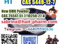 Factory supply new bmk powder +8613363711581