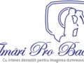 Filmari nunti Bacau - Pachetele foto / video HD 2012 pentru nunti si botezuri.www.filmariprobacau.ro