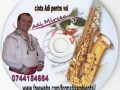 Formatia Ambiental Alba Iulia