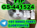 GS-441524 cat Fip Feline Infectious Peritonitis