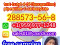 High quality cas: 288573-56-8    tert-butyl 4-(4-fluoroanilino)piperidine-1-carboxylate