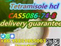 Tetramisole hydrochloride CAS 5086-74-8