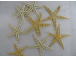 Accesorii decoratiuni marine #1