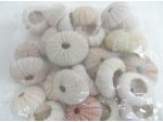 Accesorii decoratiuni marine #2