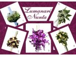 Lumanari nunta - Aranjamente florale nunta. #4