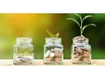 Asistenta financiara pentru companii mari si comercianti #1