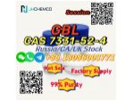 Big Sale (S)-3-Hydroxy-gamma-butyrolactone CAS 7331-52-4 High Purity Whatsapp: +8618086003771 #1