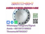 CAS 236117-38-7 2-IODO-1-P-TOLYL- PROPAN-1-ONE fast shipping and safety #1
