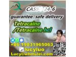 High purity Tetracaine 98% supplier in China #2