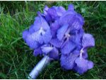 Buchet mireasa orhidee vanda - PACHETE NUNTA 100 PERSOANE #2