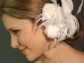 Accesorii de par