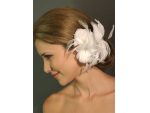 Accesorii de par