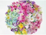 Economie la banii pentru florile de nunta