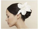 jenniferbehr.com #11