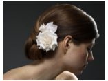 jenniferbehr.com #12