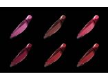 rouge dior #12