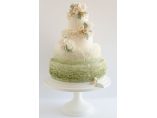 maggieaustincake.com #3