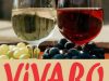 Restaurant ViVARO