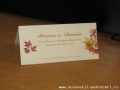 Accesorii Petreceri