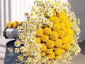 DecorExpert ARTE