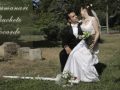 Perfect Moments