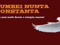 Porumbei Nunta