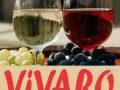 Restaurant ViVARO