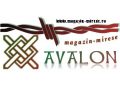 Magazinul AVALON