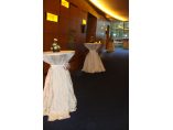 Salon Ballroom/ Hotel Crowne Plaza - allevents - Allevents by Allomorphic Studio #5
