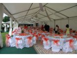 Colloseum Logistic #4