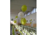 DECOR BALOANE - DELI PARTY #13