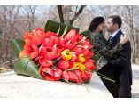 Easy-Weddings #16