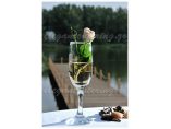 Salon Elegant Catering - Clinceni - Elegant Catering #2