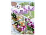 Elegant Catering #13